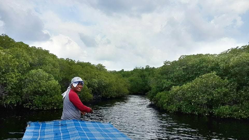 Mangrove Fishing Adventure